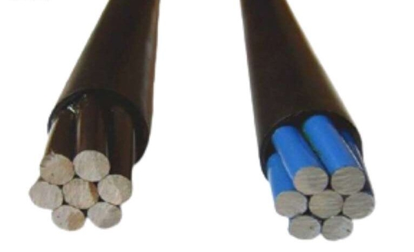 tim-hieu-cau-tao-xoan-cap-du-ung-luc 