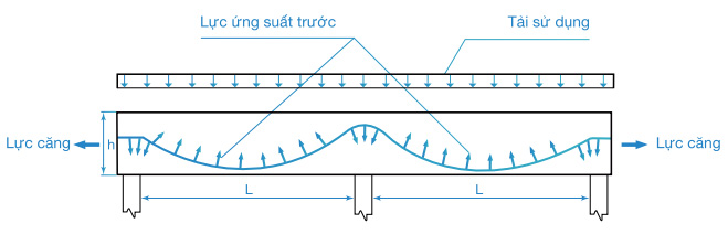 tong-quan-ve-san-be-tong-du-ung-luc-cang-sau
