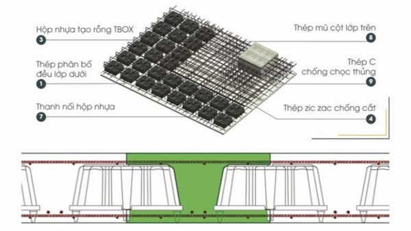 tong-quan-ve-cau-tao-san-rong 