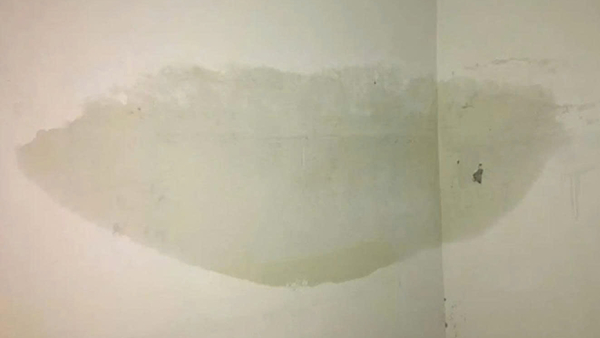 tuong-nha-la-vi-tri-de-ngam-nuoc-trong-nha-do-mua-hat